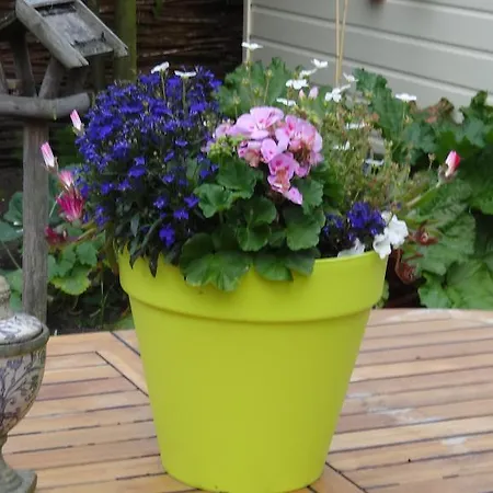 Bed & Breakfast De Noordeling